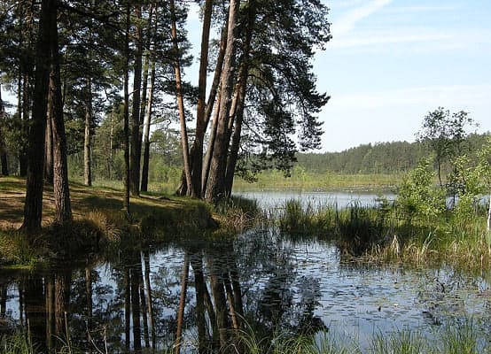 Озеро Святе на Хмельниччині: Легенди, природа та місце для відпочинку