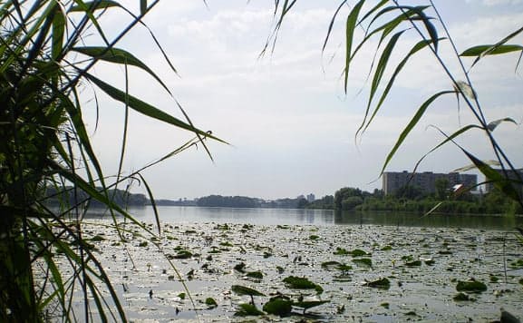 Річка Південний Буг рибалка Хмельницький